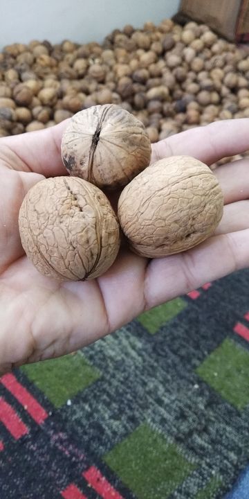 Paper kashmiri walnut uploaded by Rehmani dryfruits and Honey on 1/2/2022