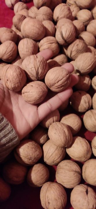 Walnuts  uploaded by business on 1/2/2022