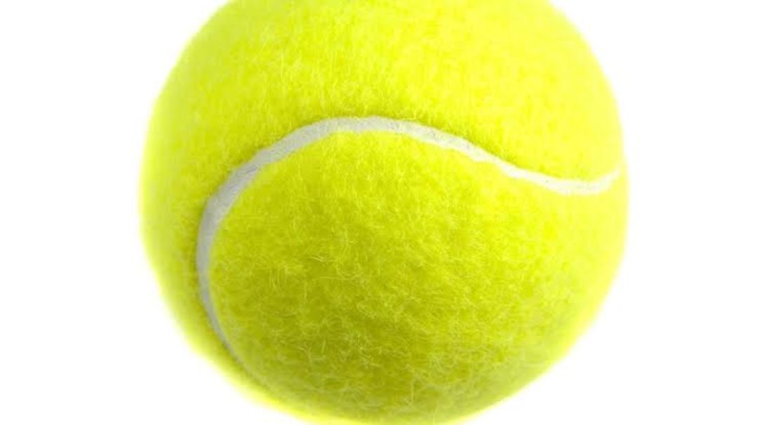Tennis ball uploaded by business on 1/3/2022