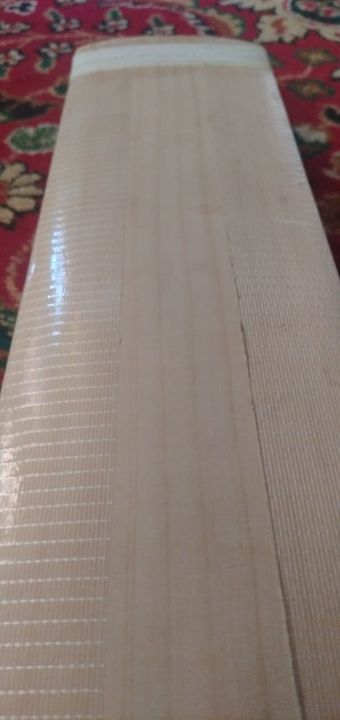 Kashmir willow cricket bats uploaded by RS SPORTS on 1/3/2022