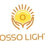 Business logo of Osso light