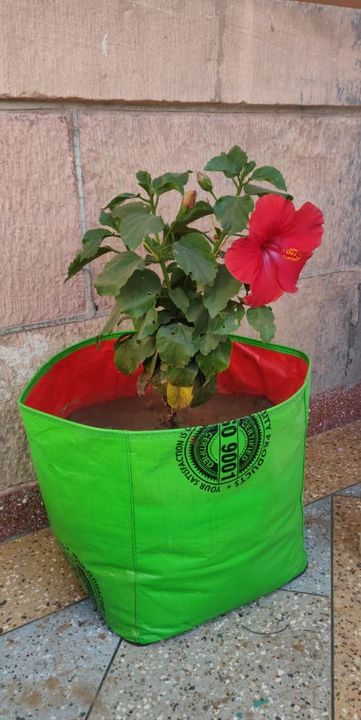 HDPE grow bag 12*12  uploaded by business on 1/3/2022