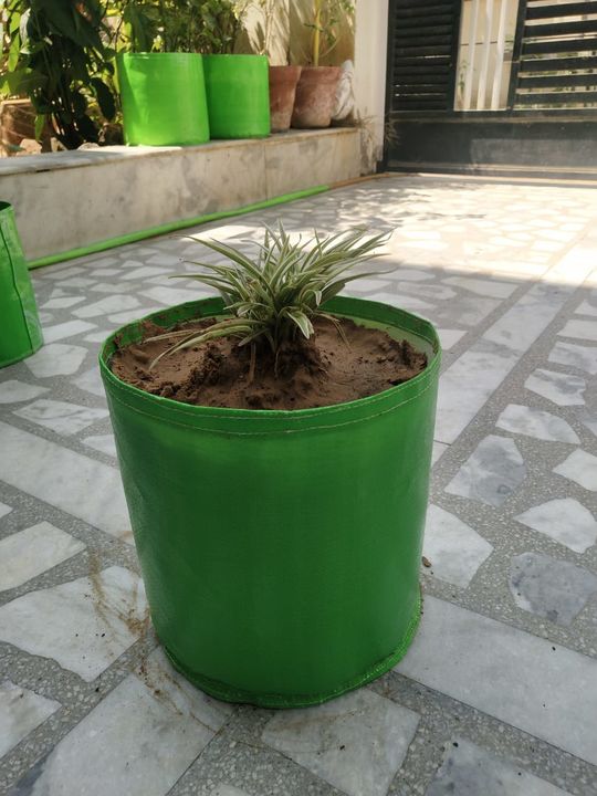 HDPE grow bag 250 GSM 10*10 inches uploaded by business on 1/3/2022