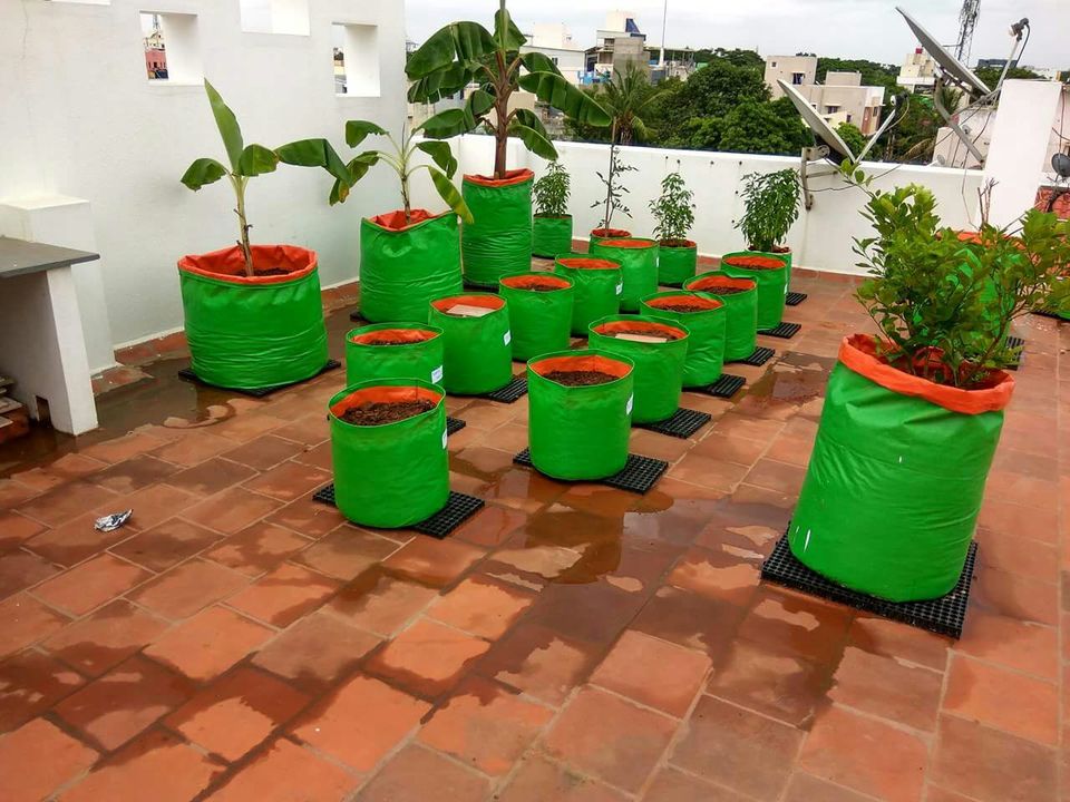 HDPE grow bag 250GSM 15*15 inches uploaded by business on 1/3/2022