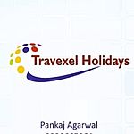 Business logo of Travexel Holidays