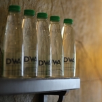 Business logo of DWA Herbal Water