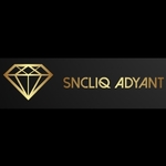 Business logo of SNCLiQ