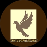 Business logo of The Glory Store