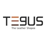 Business logo of Tegus