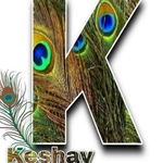 Business logo of Keshav appliances