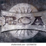 Business logo of BaBa Cement Articles