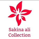 Business logo of Sakina ali collection