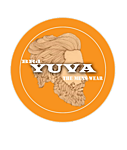 Business logo of Brd yuva the men's wear