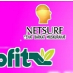 Business logo of Netsurf