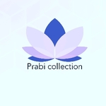 Business logo of Prabi collection