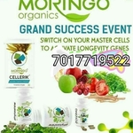Business logo of Moringo organic