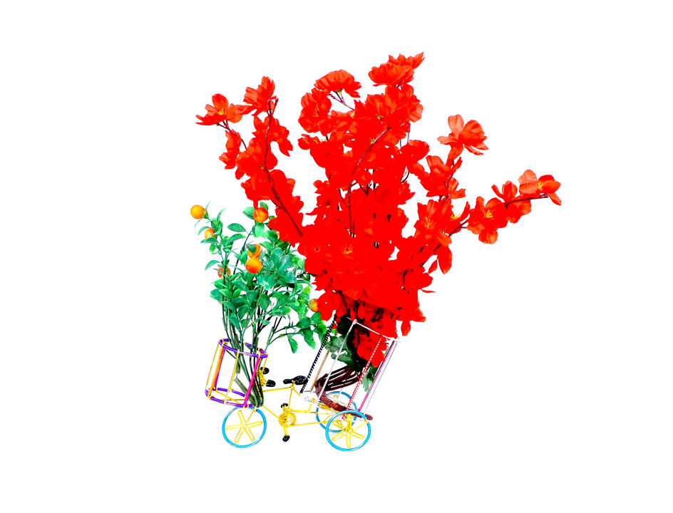 Flower pot cycle uploaded by Kavya Handicraft on 1/8/2022