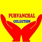Business logo of Purvanchal collection private limit