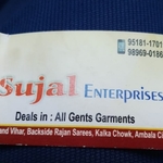 Business logo of Sujal Enterprises based out of Ambala