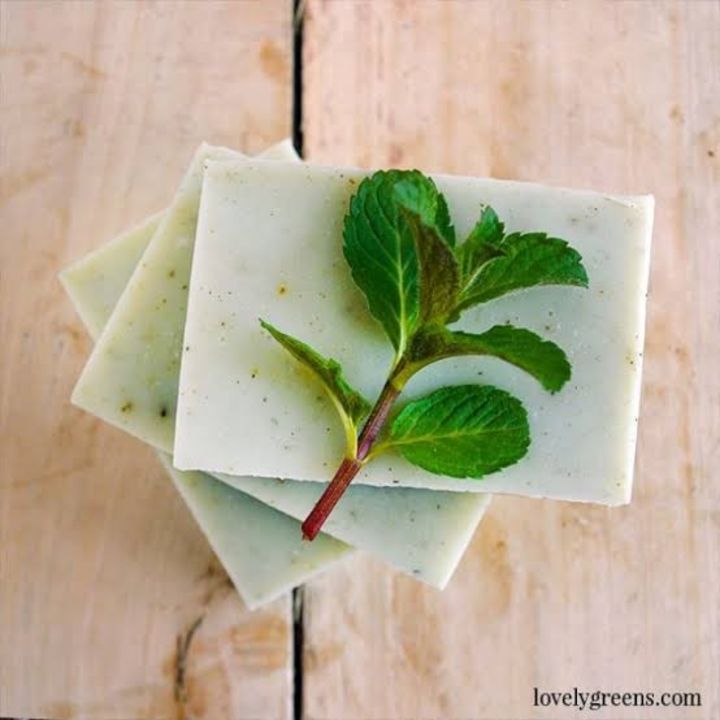 Mint Bathing Soap (30g) uploaded by business on 1/9/2022
