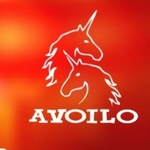Business logo of AVOILO
