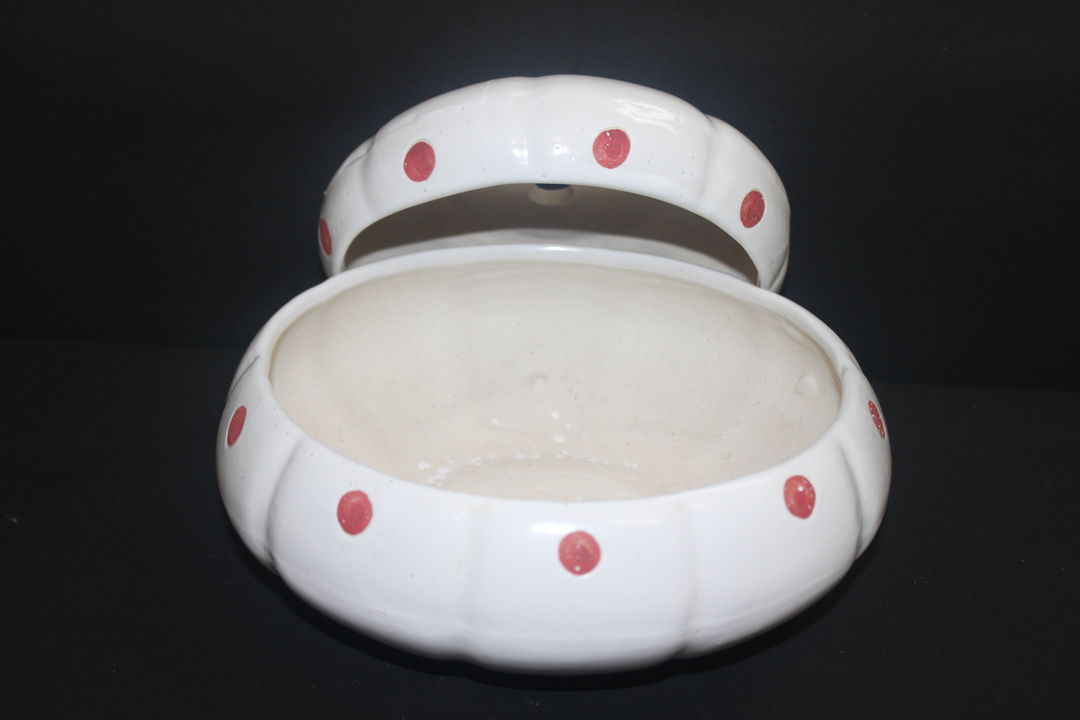 Set of 2, ceramic pot uploaded by Pawrise Solutions Private Limited on 1/9/2022