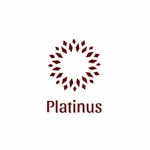 Business logo of Platinus