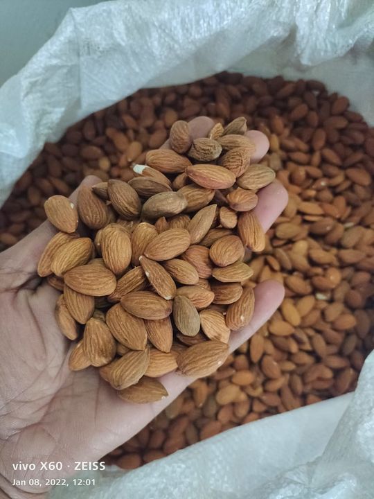 Almond  uploaded by business on 1/10/2022