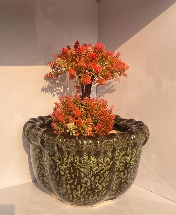Cremic bonsai uploaded by Erica ceramic solutions on 1/11/2022