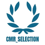 Business logo of CMR_SELECTION