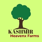 Business logo of KASHMIR HEAVENX FARMS