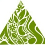 Business logo of Neha cashew Industry