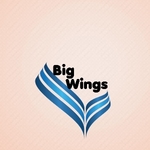 Business logo of Big Wings