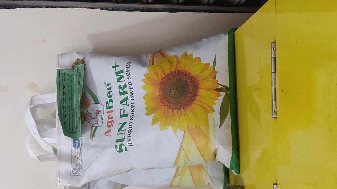 Sunflower seeds uploaded by Renuka agro agency on 1/12/2022