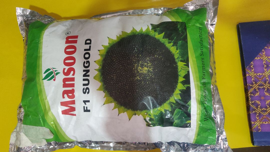 Mansoon sunflower seeds uploaded by Renuka agro agency on 1/12/2022