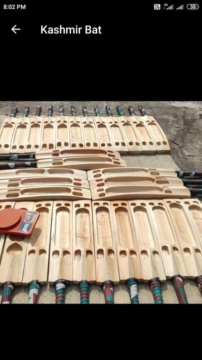 Double blade cricket bats uploaded by Sane Sporting Corporation on 1/13/2022
