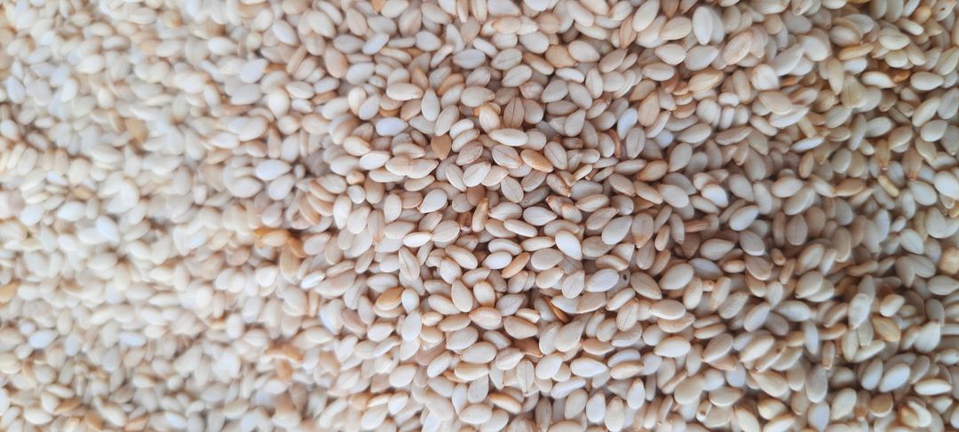 Sesame seeds  uploaded by Mungara Aliment Industries on 1/13/2022