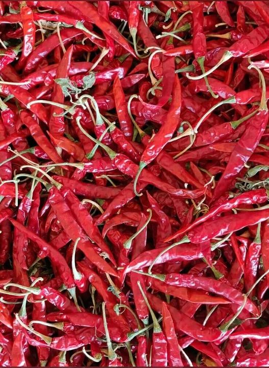 Post image I want 15 Tan of I want Teja Red chilli .
Below is the sample image of what I want.