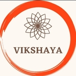 Business logo of Vikshaya Collection