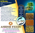 Business logo of Ashish Feeds