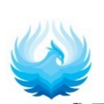 Business logo of Blu-Phoenix Management Pvt Ltd