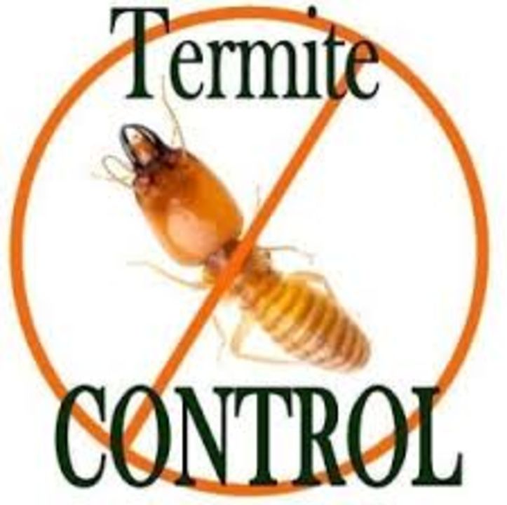 Termite Treatment uploaded by business on 1/16/2022