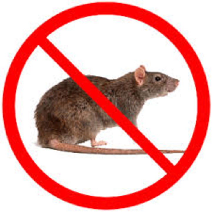 Rodent Control-  uploaded by business on 1/16/2022