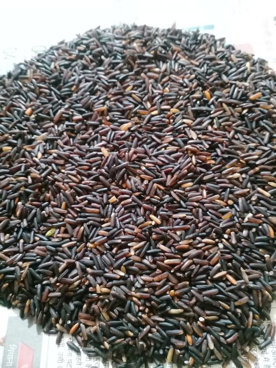 Black rice uploaded by Vivek Trading Company on 1/16/2022