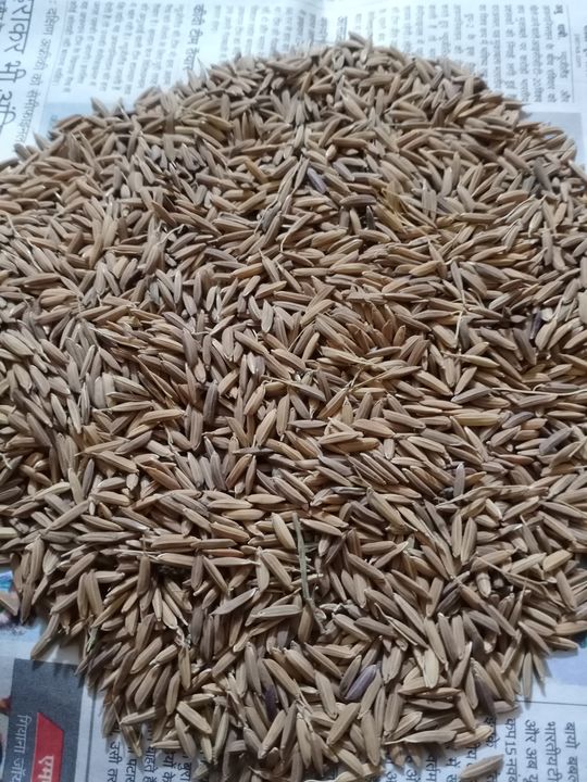 Product uploaded by Vivek Trading Company on 1/16/2022