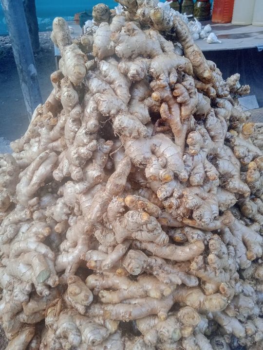 Post image Ginger (अदरक) available