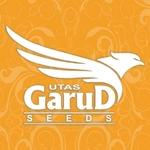 Business logo of Seed Processing