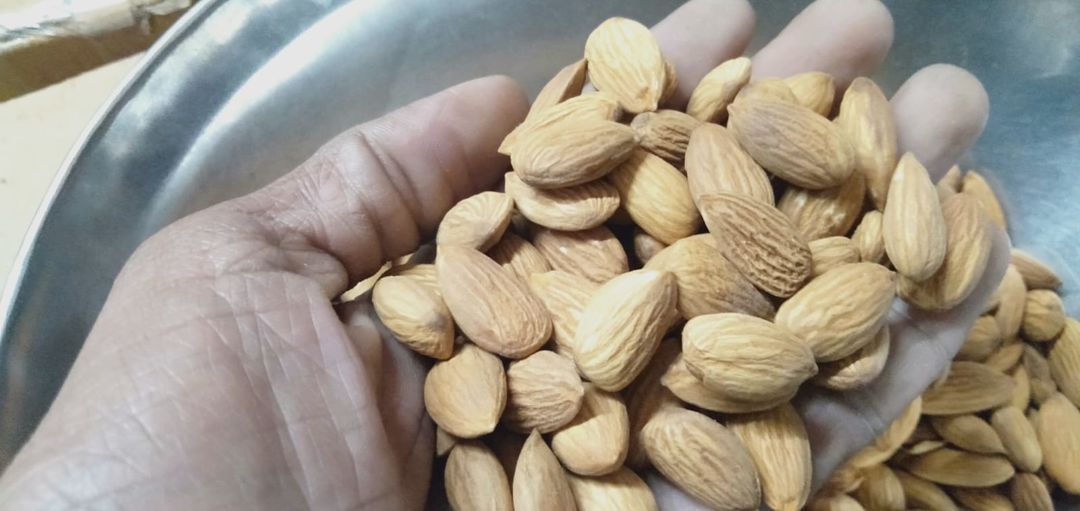 California almond uploaded by Shree Samarth Traders Dry fruits an on 1/17/2022