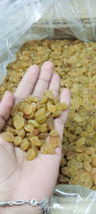 Round size sweet kishmish uploaded by Shree Samarth Traders Dry fruits an on 1/17/2022