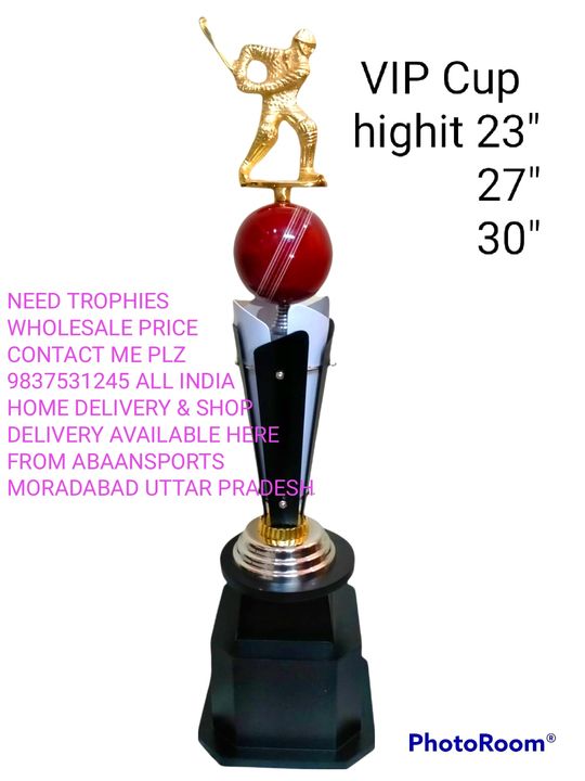 Cricket trophy uploaded by Abaan Sports and Trophies on 1/17/2022